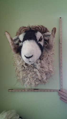 Swaledale ram sheep bust - swaledale, life