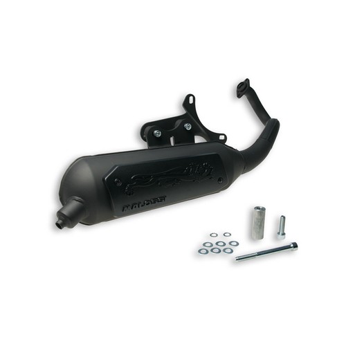 Malossi wild lion homologated - lion,
