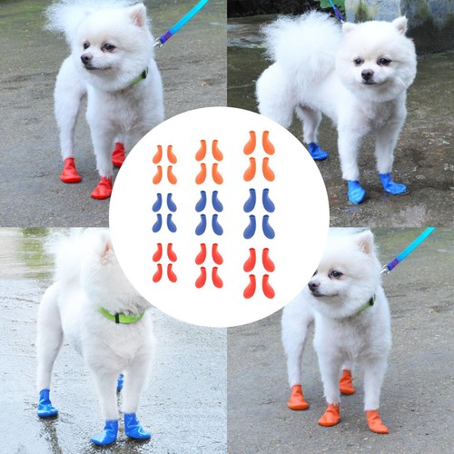 Cute dog boots - cute,