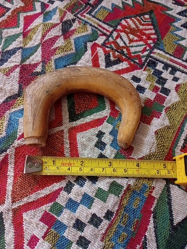 Horn handle for walking - for,