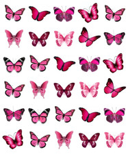 Pink Butterflies 30 Cupcake