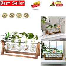 Plant Terrarium with Wooden