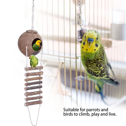 Coconut shell bird breeding - shell,