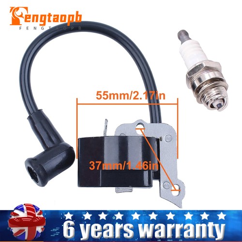 Ignition coil module - for, stihl
