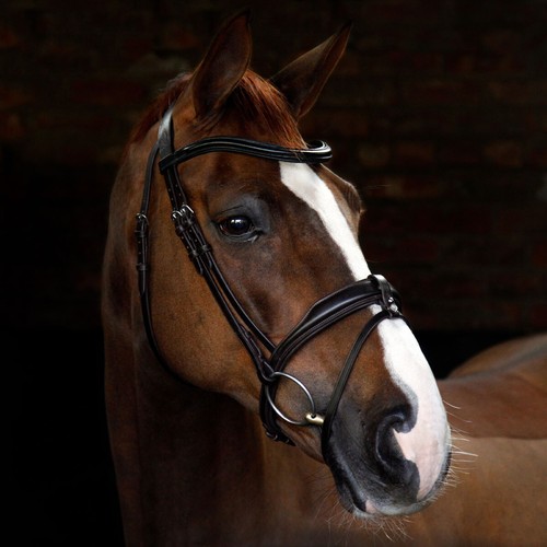 Cottage craft flash bridle - craft,