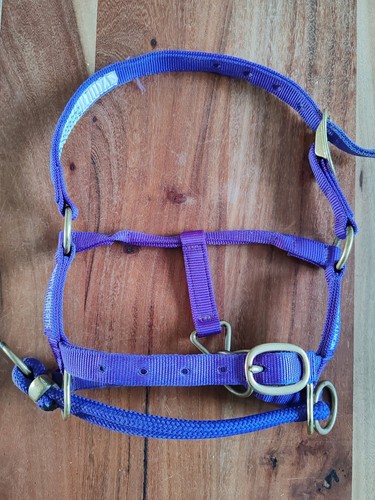 Monty roberts dually halter - dually,