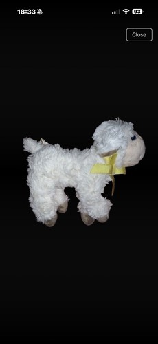 Tmj limited hoppy - tmj, little