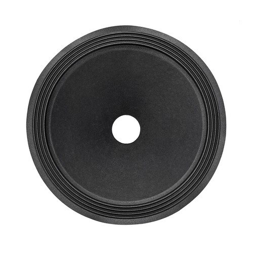 Paper speaker cone - 12",