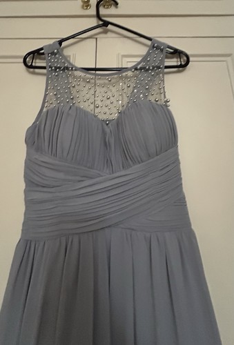 Little mistress dove - little, grey
