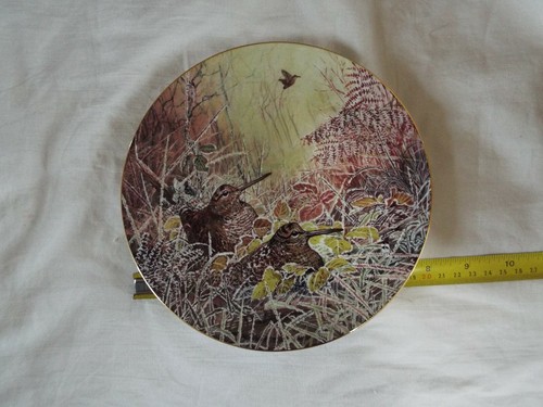 Wedgwood woodland retreat - woodland,