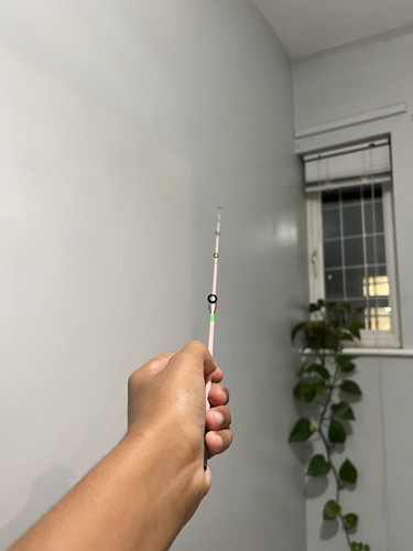 One strike micro spinning rod - one,