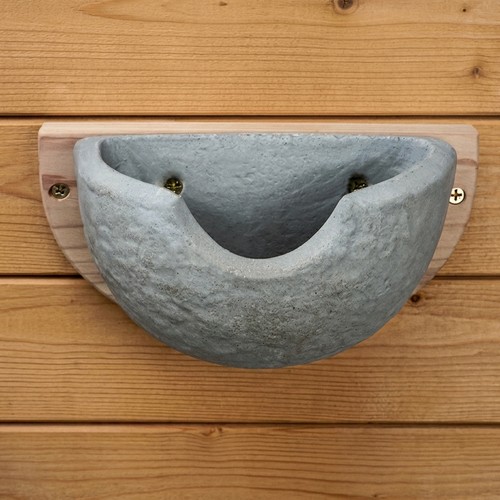 House martin swallow bird - martin,