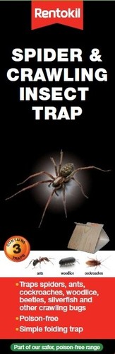 Rentokil spider crawling - rentokil, &