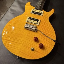Paul Reed Smith (PRS) SE