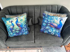 2 X Lovely Proud As A Peacock