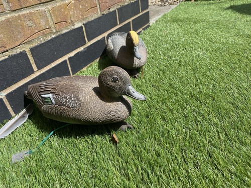 Plastic floating duck decoys - duck,