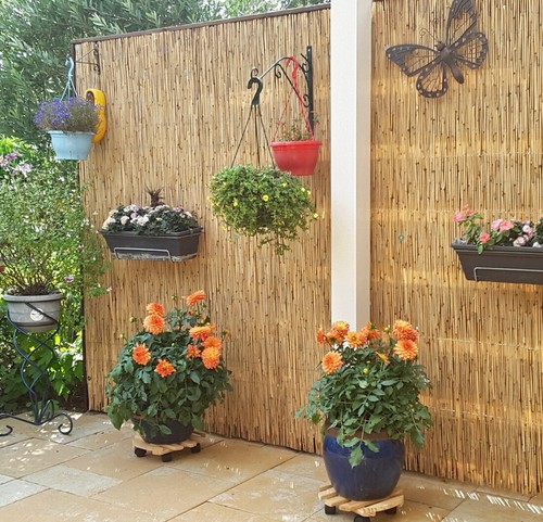 Bamboo reed fence screen roll - reed,