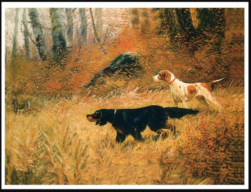 Gordon setter and - setter, pointer