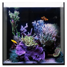 10 Gallon Cube AIO Rimless