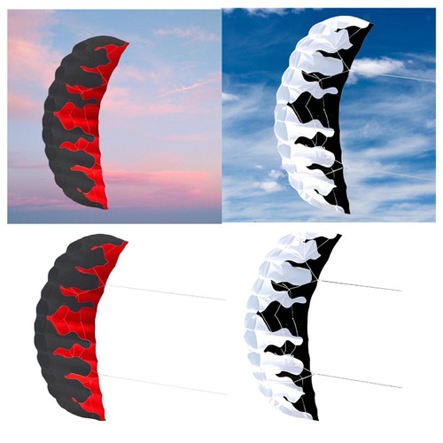 Parafoil kite with reel - kite,