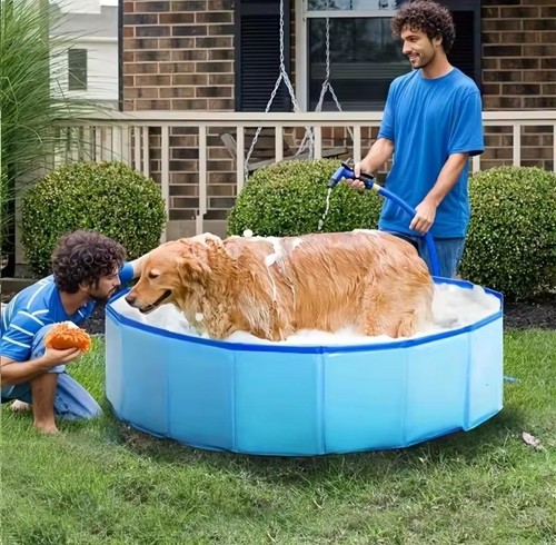 Large foldable dog - foldable, swimming
