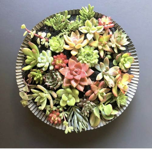 Beautiful colorful - 25, &
