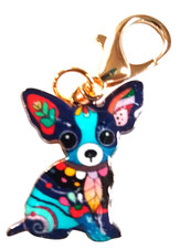 Beautiful Cute Chihuahua /