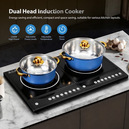 2200w twin induction - twin,