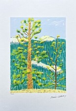 DAVID HOCKNEY - The Yosemite