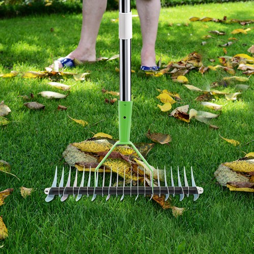 Tine lawn rake head - lawn, head,