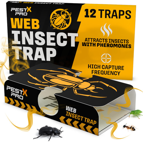Insect traps pack - insect,