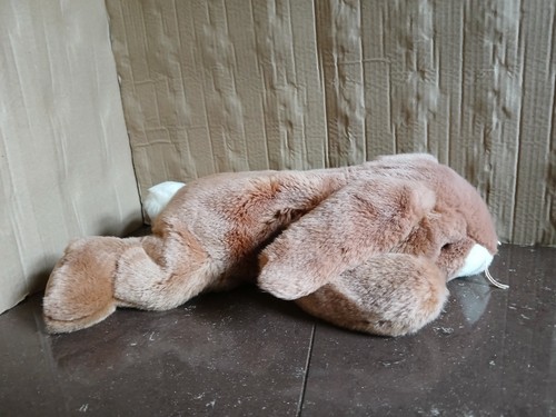 Beanie buddies ears the - ty,