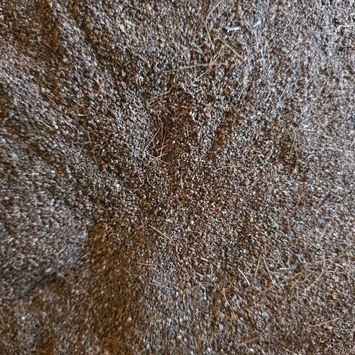 100 organic insect frass - insect, –