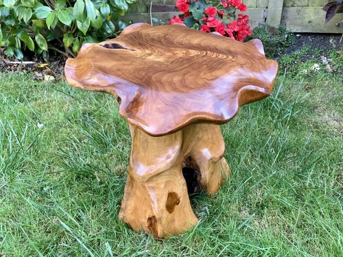 Teak root wooden - wooden, table