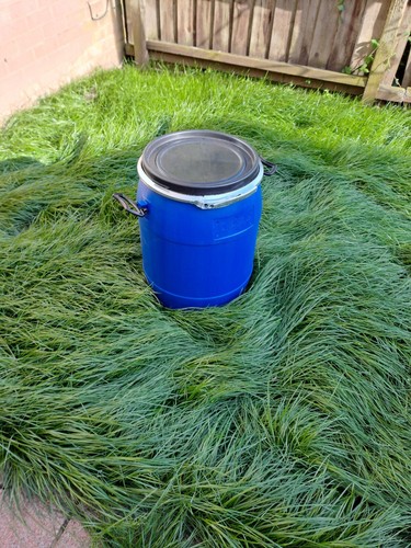 Plastic barrel with - lid, 60