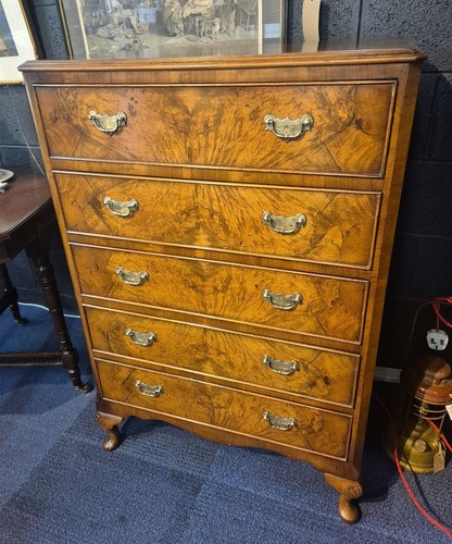 Splendid burr walnut tallboy - splendid,
