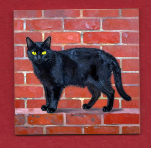 Black cat with red wall - with,