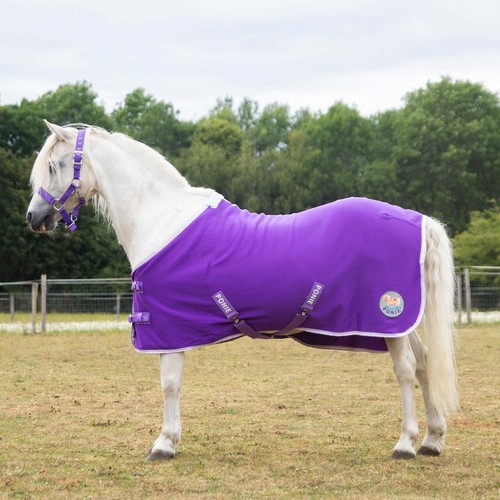 Ponie tiddlywinks jersey - ponie,