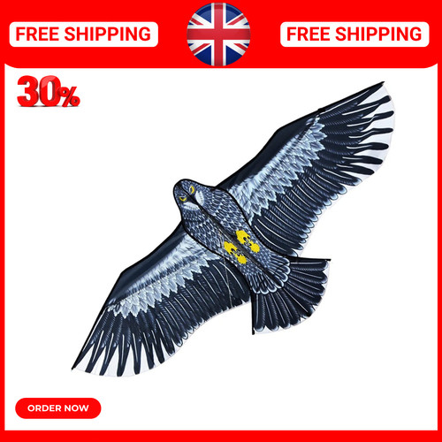 Inch eagle kite with handle - inch,