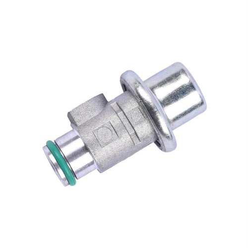 Fuel pressure regulator for - fuel,