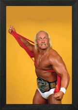 Hulk Hogan Framed Wall Art