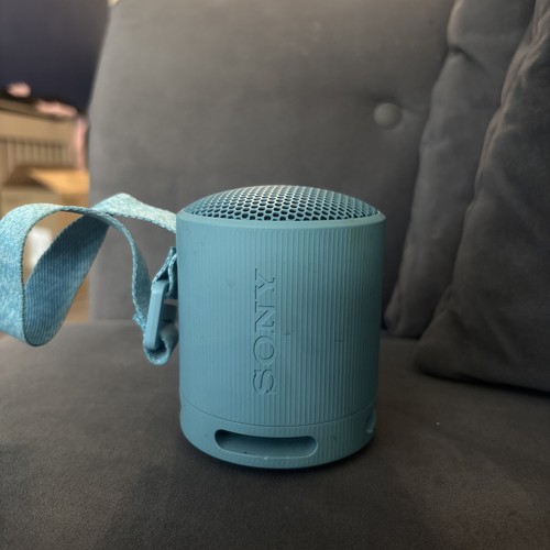 Sony srs xb100 tested - sony, srs-xb100
