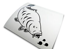 VINYL ‘Feeding Mirror