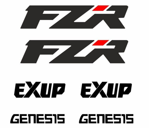 Yamaha fzr 1000 matching - fzr, decal