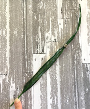 Antique Vintage Millinery