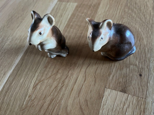 Pair poole mice - of,