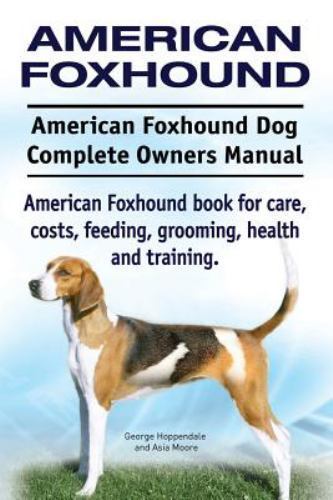 American foxhound dog - foxhound,