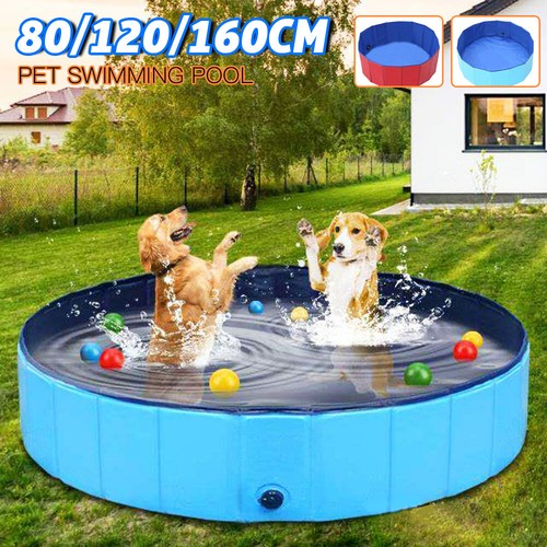 Large dog swimming pool - swimming,