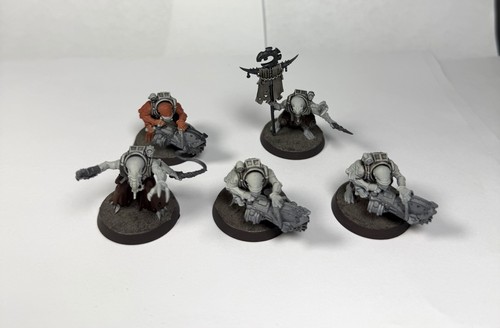 Acolyte hybrids partially - acolyte,