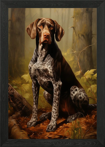 German shorthaired pointer - german,